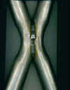 xpipe.jpg (26813 bytes)